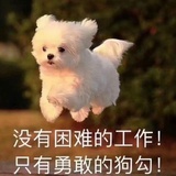 秋天萃取液
