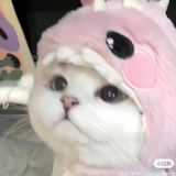 鹅鹅拨清波