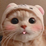 丫梨