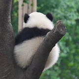 好吃不好吃