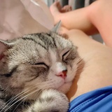 我睡觉了