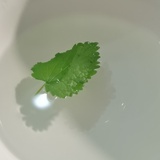 泡泡