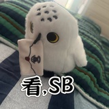 森莫👻