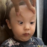 残暴悲情小熊