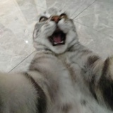 不要嬷我老公