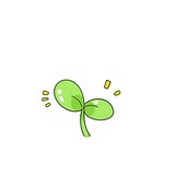 ✨
