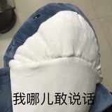 向歌乐山进发