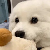熱愛