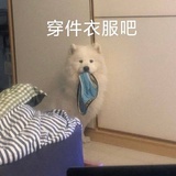 不喜欢菜
