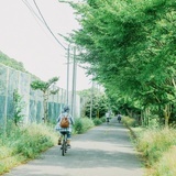 士多啤梨苹果离