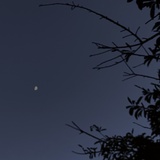 太阳有阳光