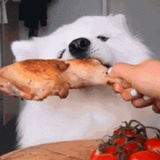 猎粮（伐纣版