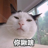 初霜