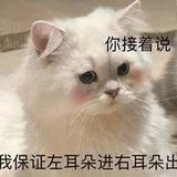 momo快乐