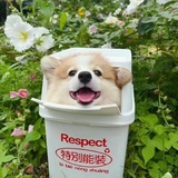 哇哦