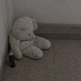 要变小熊吗？