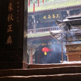草木生根