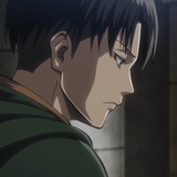 Levi