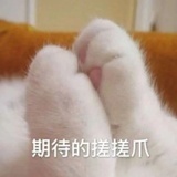 大张伟
