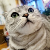 雪堂光