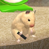 nin_OAO
