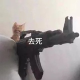 禁止卖腐