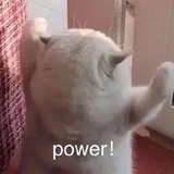 青春