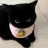 MiuMiu