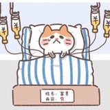 只想暴富