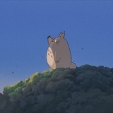 暴躁小桉