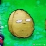 希林娜依高偷C