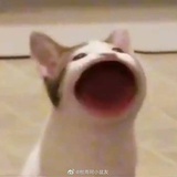 灰化肥（已黑化