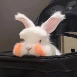 是我是我啊