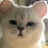 浅唱