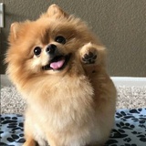 ooo