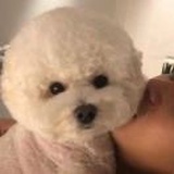 睡不醒