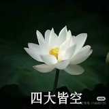四大皆空