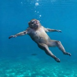 爱抽奖的小朋友