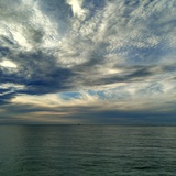 海海