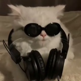 机关枪蜜桃猪