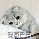 已暴富（做梦中
