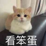 咩咩