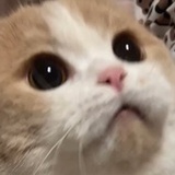 王三万麻麻👩