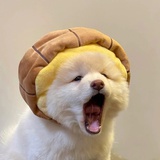 吃个柚子