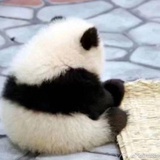 lazy