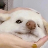 ？