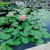 从此是路人