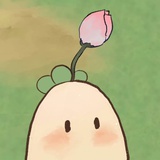 窝窝