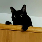 方天翼