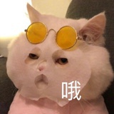 爱勋熊（纯情版